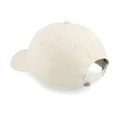 Gorra Dickies Hardwick Whitecap Gray DK0A4TKVF901 Gorras Dickies