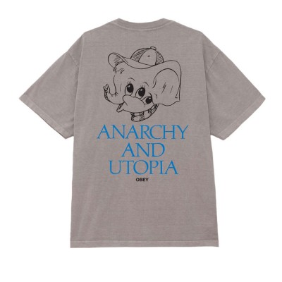 Camiseta heavyweight...