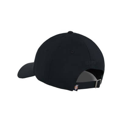 Gorra Dickies Essential Dad...