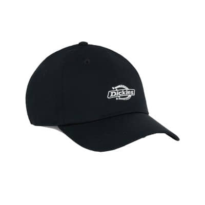 Gorra Dickies Essential Dad...