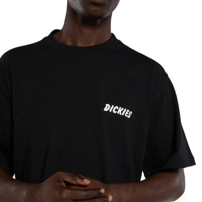 Camiseta Dickies Dry Ridge...