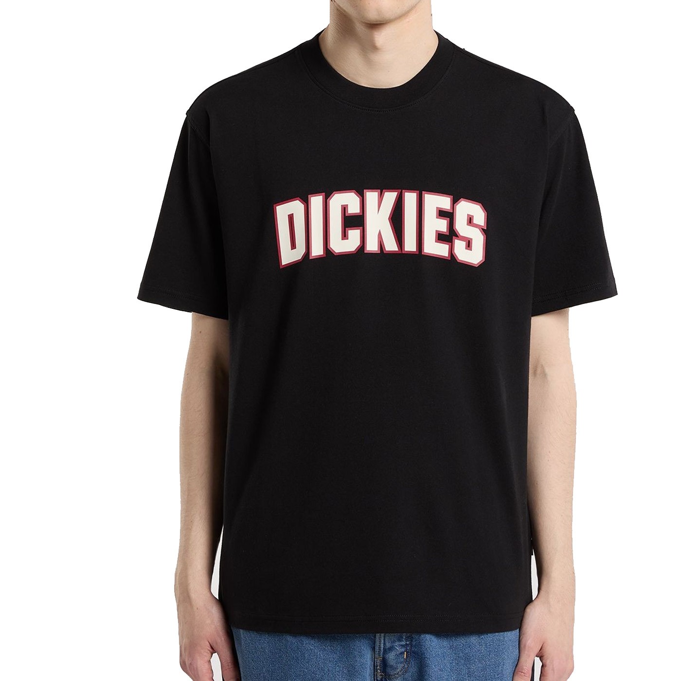 Camiseta Dickies Aitkin Ss Tee Black DK0A88GLBLK1 T-Shirts Dickies