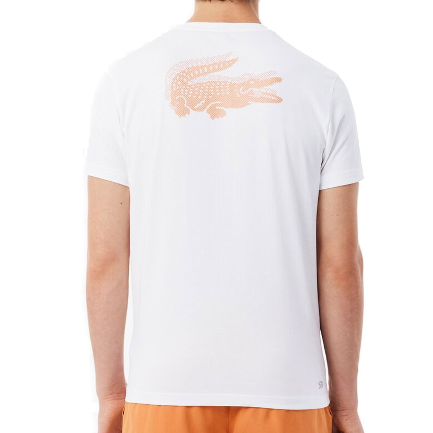 Camiseta Lacoste Cocodrilo Ultra-Dry 49T White-Blossom TH0003-49T Camisetas Lacoste