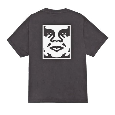 Camiseta premium pigment...