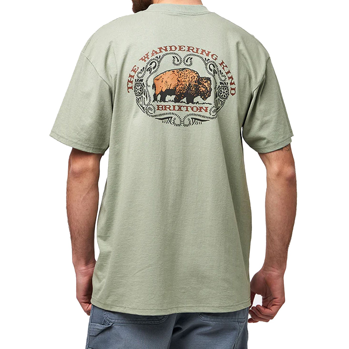 Camiseta Brixton Coba Ss Standard Desert Green 17511-dstgn T-Shirts Brixton