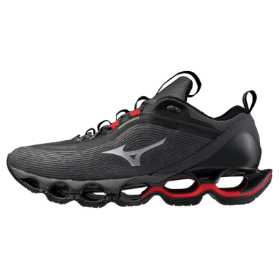 Zapatillas Mizuno Wave...