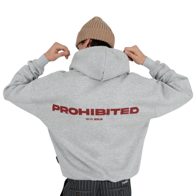 Sudadera con capucha Prohibited 10119 Hoodie Grey Melange 109 0003-8 Sudaderas PROHIBITED