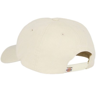 Complemento Dickies Hardwick Whitecap Gray DK0A4TKVF901 Gorras Dickies