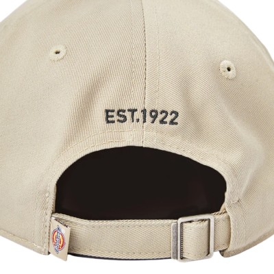 Gorra Dickies Essential Dad...
