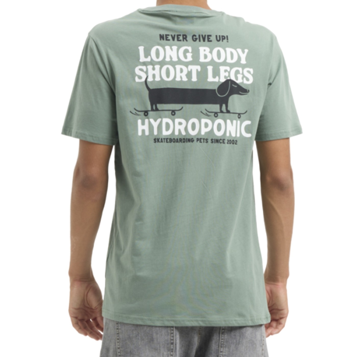 Camiseta Hydroponic Dachshund Ss 03 Green Bay 25016-03 Camisetas Hydroponic