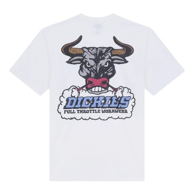 Camiseta Dickies Lakeridge Ss Tee White DK0A8D3H0WH1 Magliette Dickies