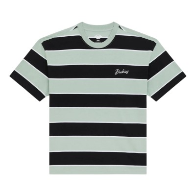 Camiseta Dickies Embroidery Stripe Ss Tee Jadeite DK0A8CVPB871 Tshirts Dickies