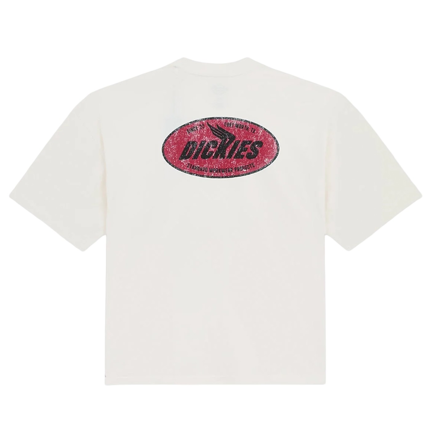 Camiseta Dickies Shonto Ss Tee Egret DK0A8CCLC481 Tshirts Dickies