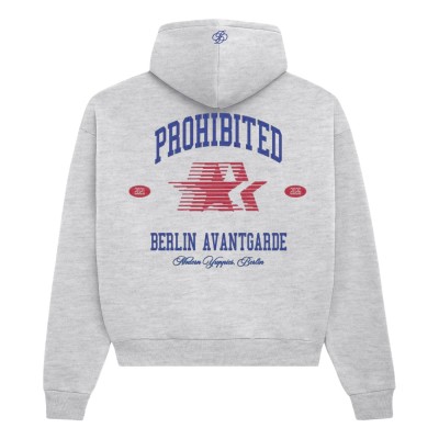 Sudadera con capucha Prohibited Berlin Avantgarde Hoodie Grey Melange 109 0152-8 Sudaderas PROHIBITED