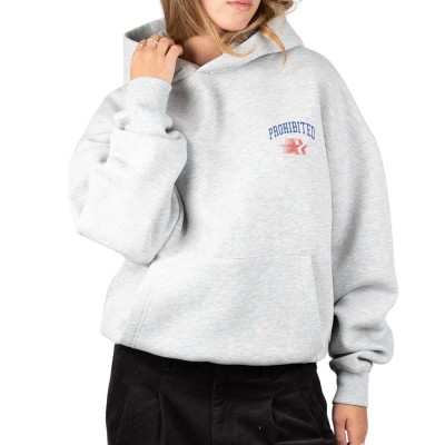 Sudadera con capucha Prohibited Berlin Avantgarde Hoodie Grey Melange 109 0152-8 Sudaderas PROHIBITED