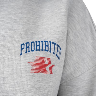 Sudadera con capucha Prohibited Berlin Avantgarde Hoodie Grey Melange 109 0152-8 Sudaderas PROHIBITED